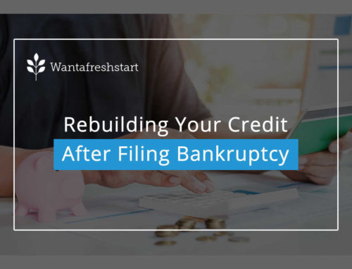 Rebuilding Your Credit After Filing Bankruptcy